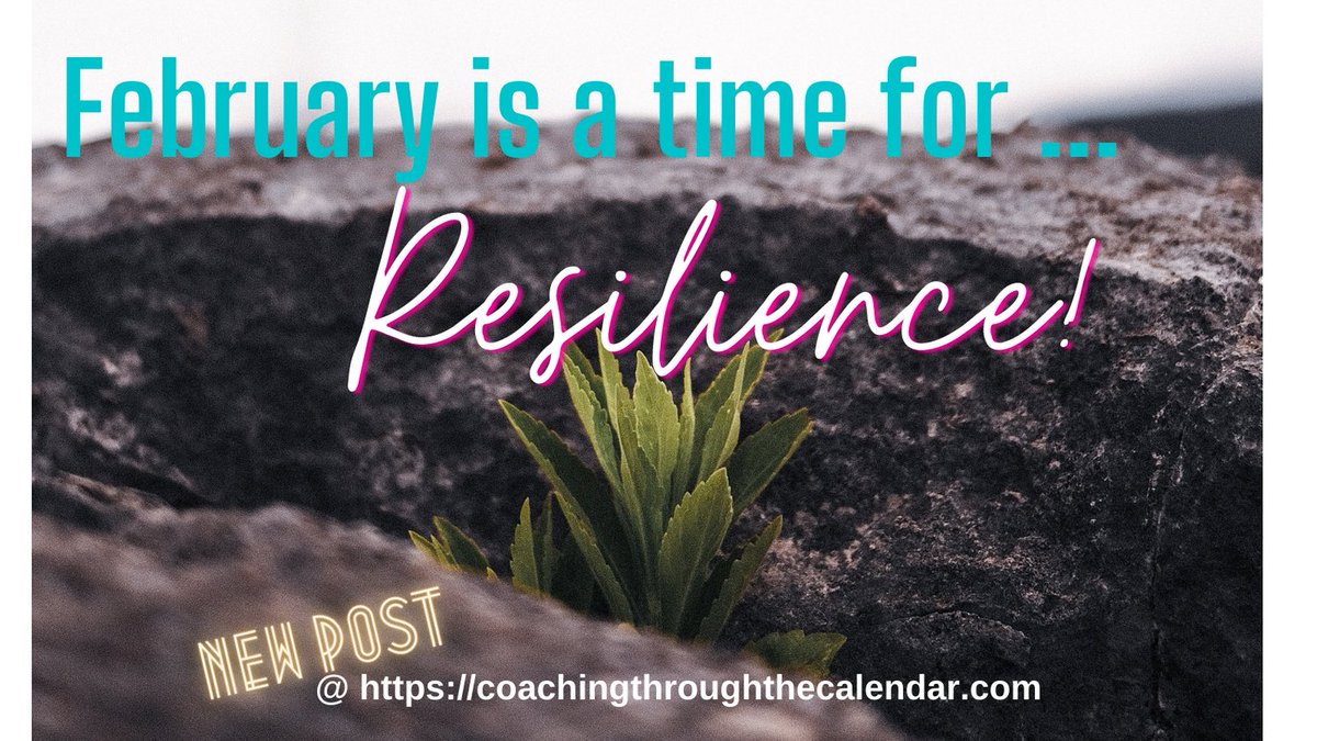 Carla Bailey tweet media