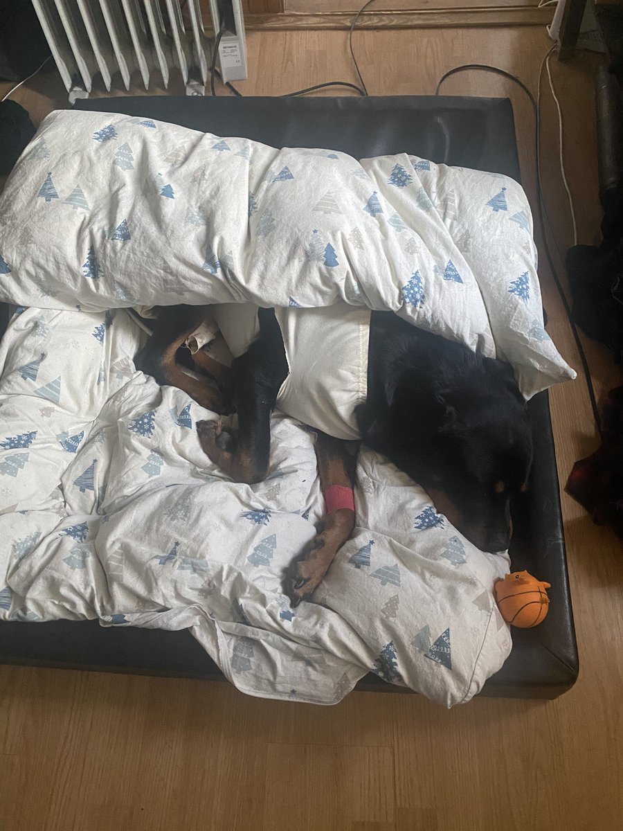 eyeyKAAR's tweet photo. Uterine inflammation (might not be the right name for it in English)

 3 days after surgery she’s still weak and hurting. 

My heart and brain is broken atm. 

This is so though https://t.co/mc8SEPJqE4