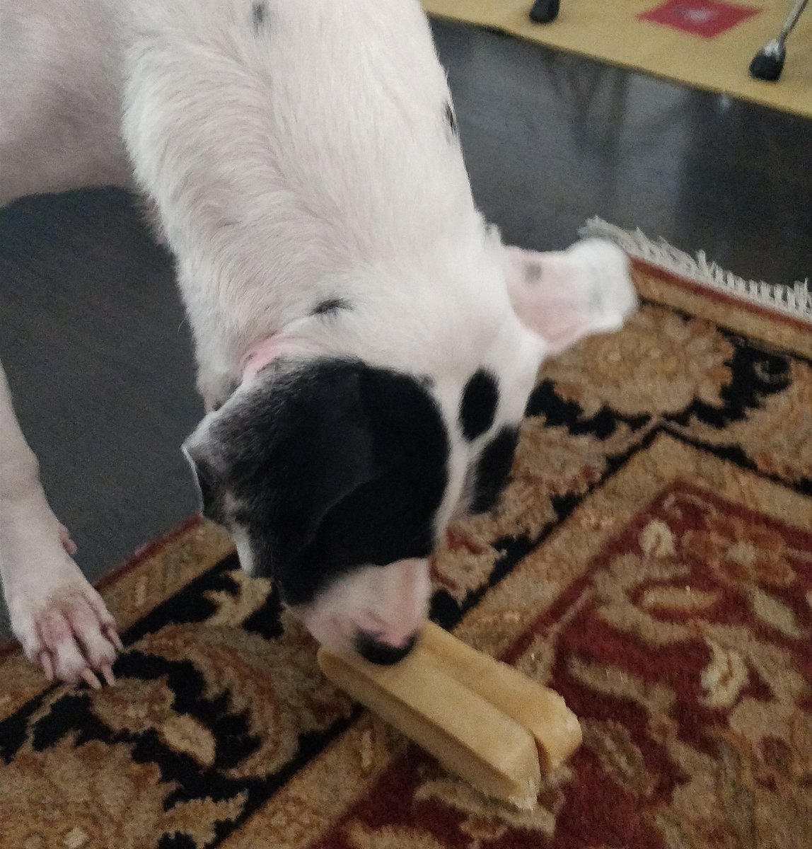 whenwherenilly's tweet image. I yam prowd of muyself. I lined up mines an Maya's choos so no won else can get it. So dere!