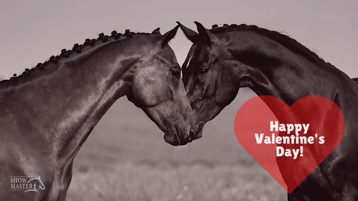 ShowMasterVHSS's tweet photo. Happy V-Day! #ValentinesDay #virtualhorseshow #horseshow #horse #horselovers #LoveHorses #equine #equestrian #equinephotography #equestrianlifestyle #horseriding #horsebackriding #ShowMaster https://t.co/mIaEvFscAz