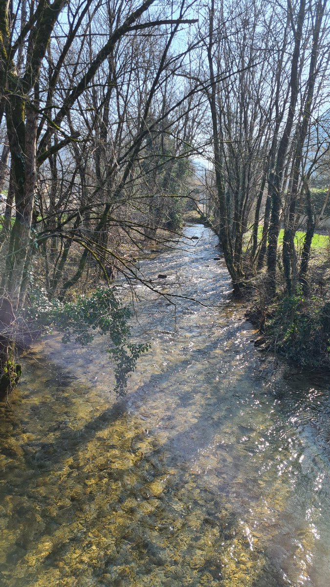 Reyrog's tweet photo. #Jura #Conliege petite balade apéritive....avant le #macvin 😀 https://t.co/wu03Wh50Wx