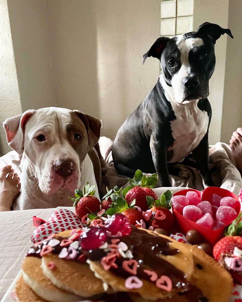 JoziPits's tweet photo. #HappyValentinesDay2021 #ZSHQ @ZombieSquadHQ 💋💋💋 https://t.co/fRre0sVyy5