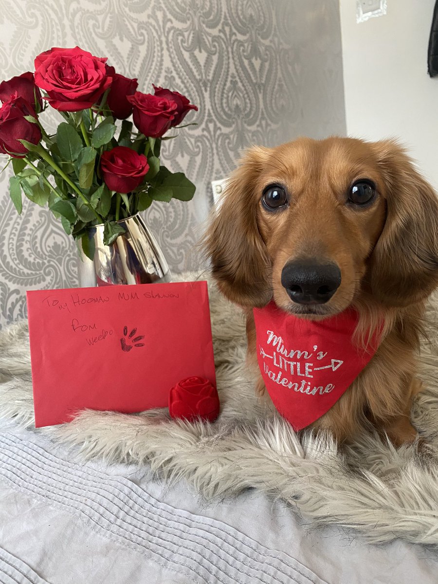 _spattersonx's tweet photo. hands down win for having the most handsome valentine this year 🥺❤️ https://t.co/Qk7Yr5peaQ