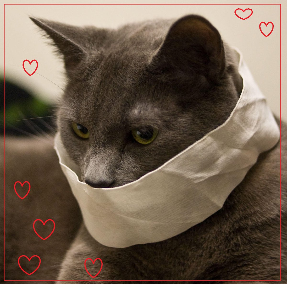 FrasiPedro's tweet photo. Non x essere noioso ma... ricorda ke c'è il #COVID anche a #sanvalentino!! https://t.co/ZEhH7i0e00