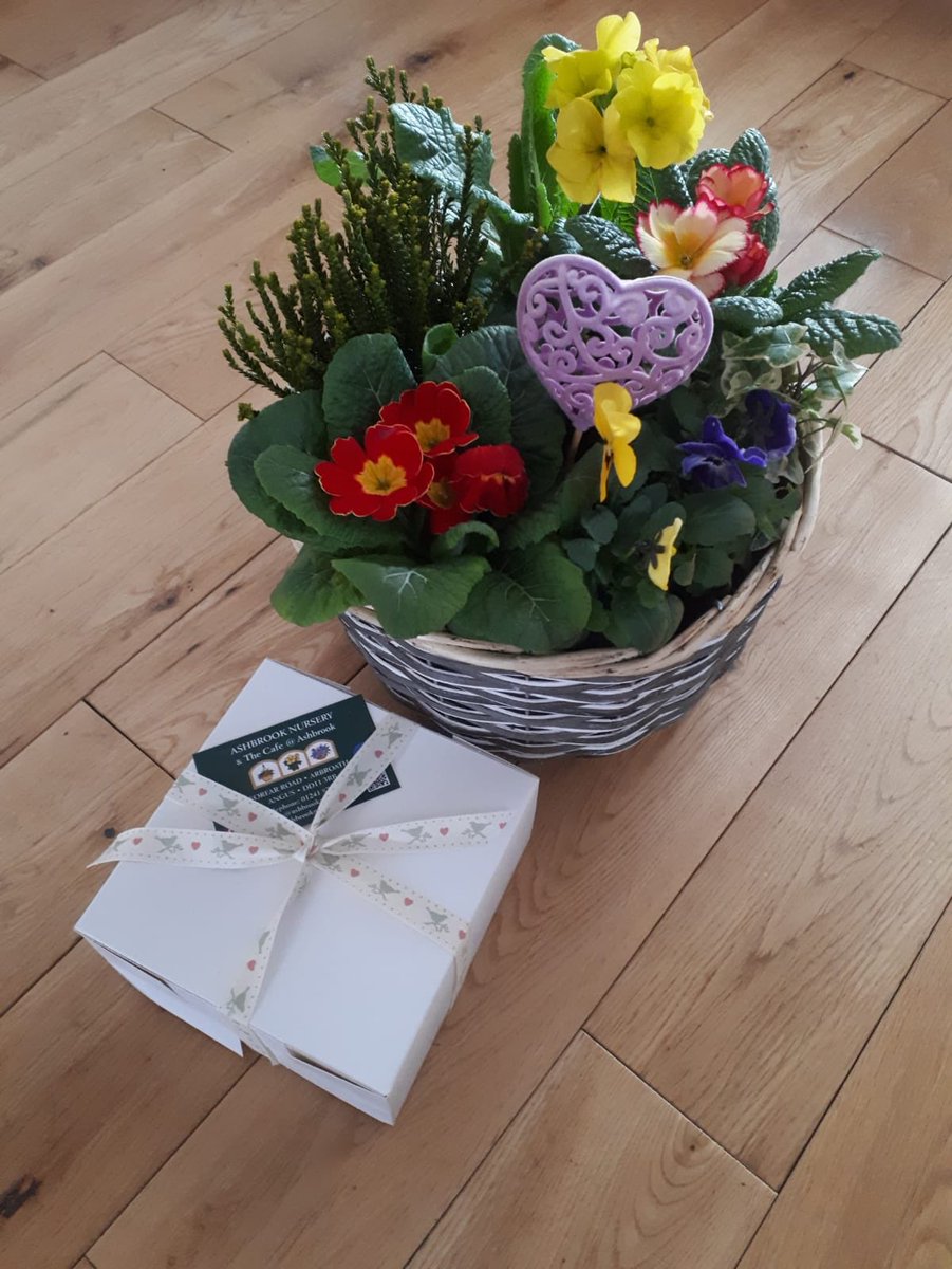 ashbrooknursery's tweet photo. We are feeling the love 🍰💐🥰 after delivering homemade cake and colourful planters to lots of homes this morning. Happy Valentine’s Day to you and yours ❤️ https://t.co/551aOyrrWk
