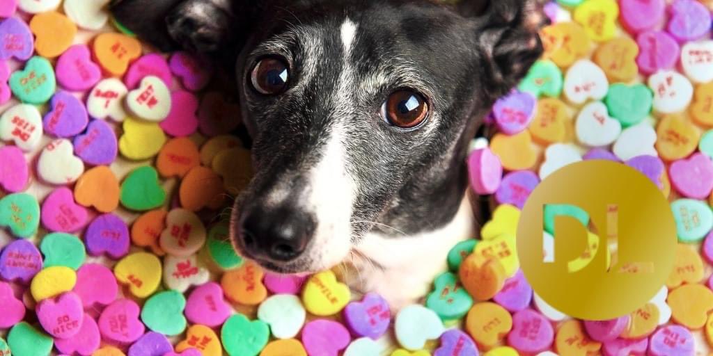 Digital_Lum's tweet photo. Happy #valentinesday2021 everyone #DigitalMarketing #marketing https://t.co/jQxFut0NCc