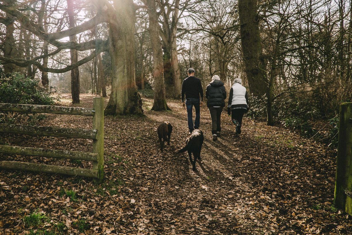 Rural living has so many benefits. However, if you’re someone that lives in a remote location and can’t access fast broadband, then you’ll be all too familiar with the frustration that brings. Digital connectivity is essential for rural communities to thrive.