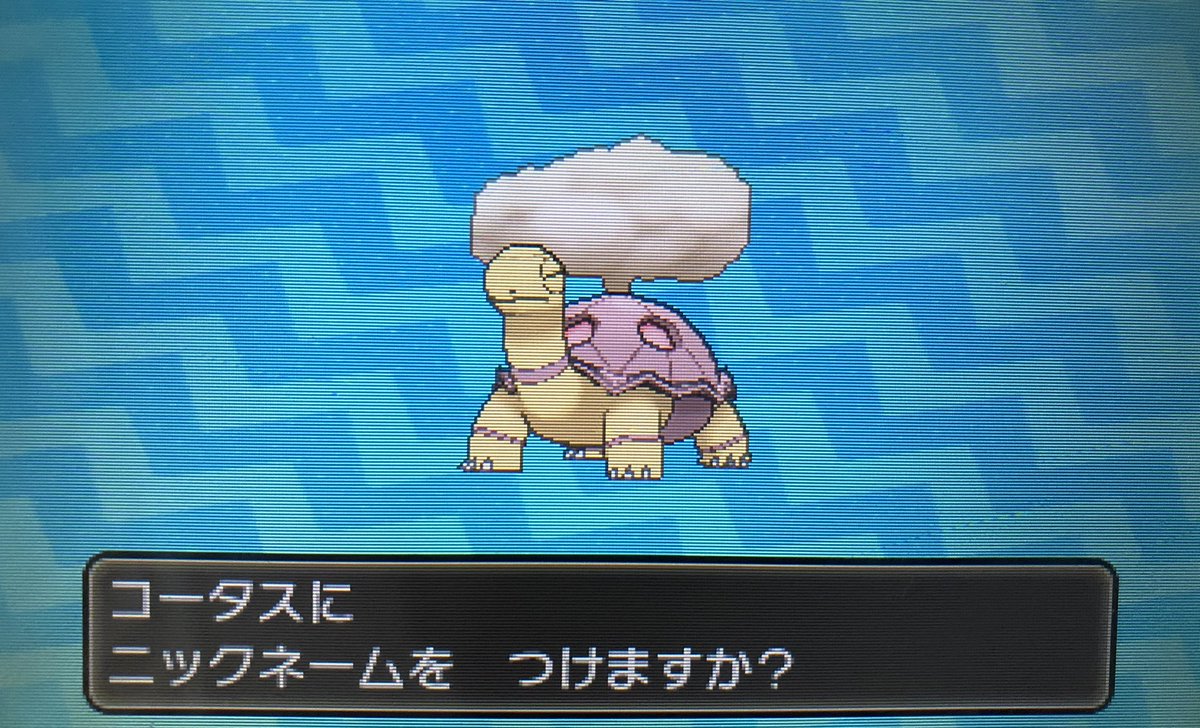 ユウタ 火蛍 色違いのコータスをget 仲間呼び連鎖で30分ちょいで出ました笑 最近の色運が良すぎて怖い １ヶ月で8匹は出してます クセになりそう 日照り要因として活躍してもらいます