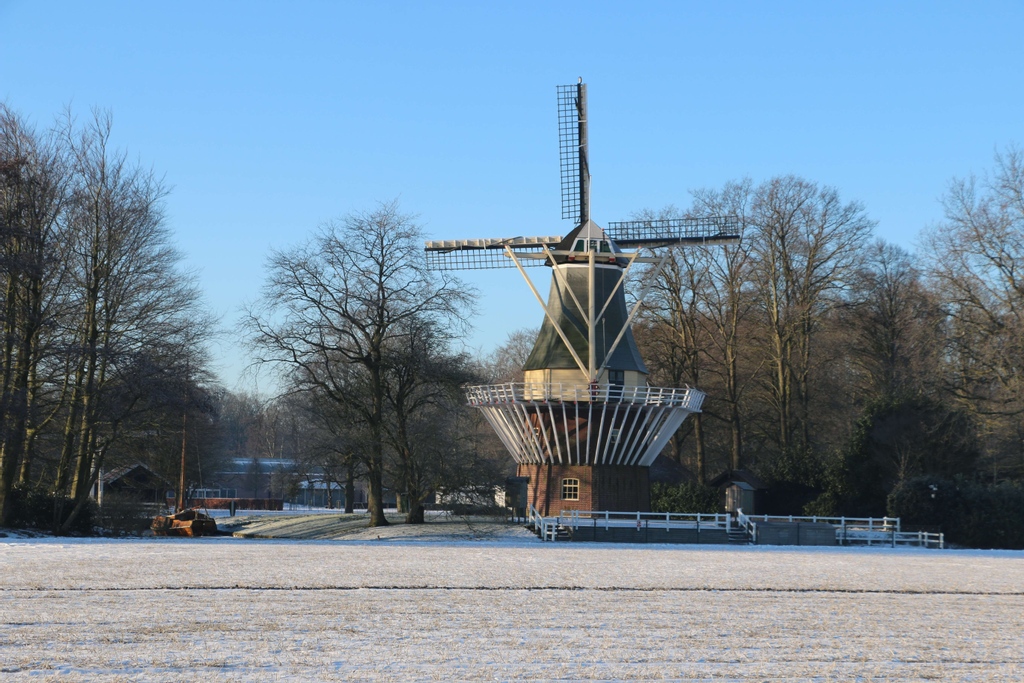 Bollenstreek.nl tweet media