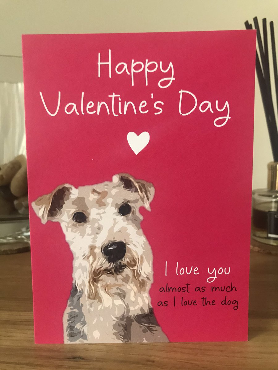 Hehe I always knew mum woofed me more than she woofs dad 🤣 sorry dad! I woof you 💖 Happy Valentine’s Day everypawdy 💖💖💖 #HappyValentinesDay #ValentinesDay <a href="/pawandmore/">Paw & More</a>