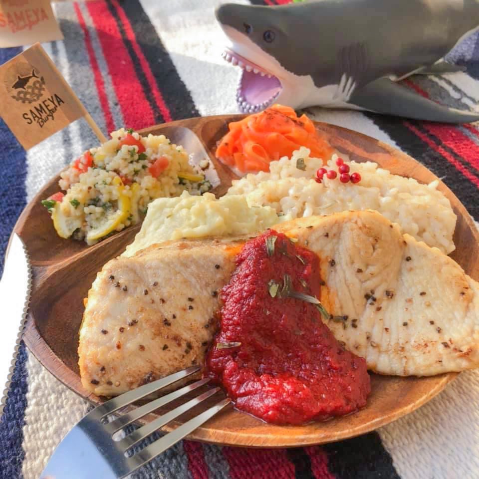 kesenmiso's tweet photo. ＞＞今週のサメランチ＜＜

バターでじっくり焼いたふわっふわのサメのムニエルw/週替わりのソース

選べるデリ2種と、
週替わりご飯(玄米/麦飯/十六石米)🍚

【 ☀️#サメランチ 】
サメのムニエルと選べるデリ2種
11:30〜14:00
(月)三田国際ビル #tlunch 

よろしくお願いします！ https://t.co/mdzQABe1YK