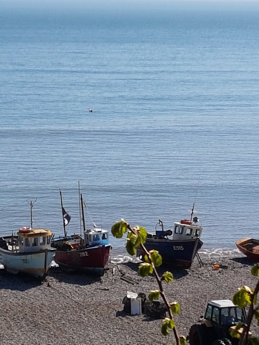 bluemoonjules's tweet photo. #SundayPixFirstLetter
Boars on Beer Beach
Cc. @wombat37 https://t.co/GTGYUhmdIb