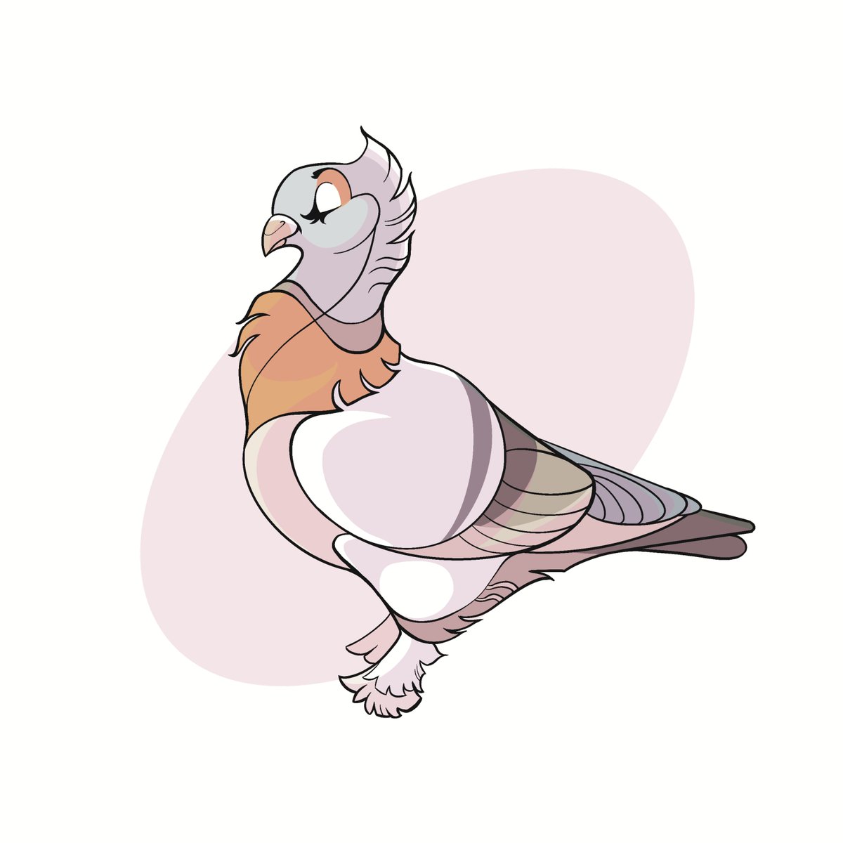 owlbedamnedart's tweet photo. A fancy pigeon, black Vulture and the monk parakeet have joined #birbruary2021 https://t.co/CsTzg6WvSl
