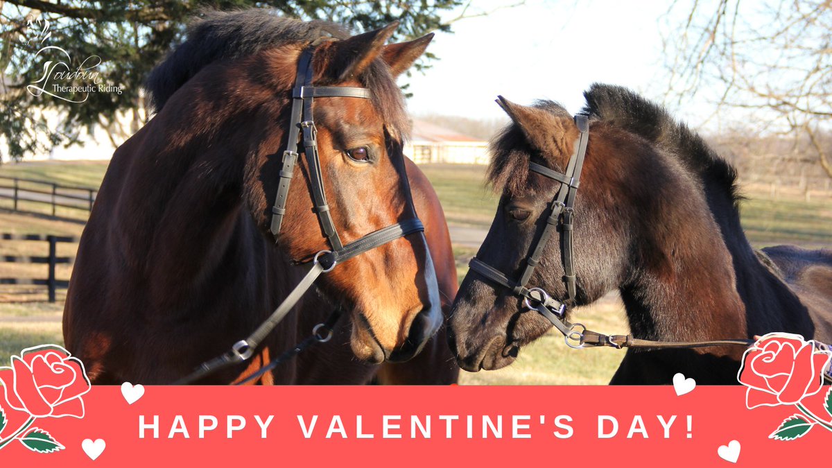 ❤ Happy Valentine's Day! Thanks to your love and generosity in 2020, LTR has been able to add 2 new horses to the herd! Meet Lars &amp; Fanci! This means that our wait list is shorter and many more children &amp; adults can thrive through LTR’s Equine-Assisted Services! Thank you!