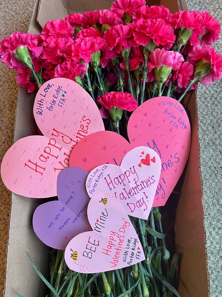 PorterRidgeFFA's tweet photo. Happy Valentine’s Day from the Porter Ridge FFA! 💓 We are sharing some love with the residents at Autumn Care Nursing Home this year. Each resident will receive a handmade valentine and a carnation to help brighten their day! 🌸💓 https://t.co/71WEhoVg0h