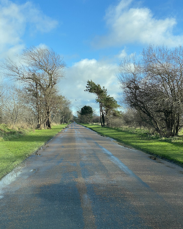 Lockdown Diary – Snipe sensation... - grumpyoldbirder.com/snipe-sensatio… ['Subscribing' to Grumpy Old Birder posts is very easy... complete the form on the right of the blog post and click the confirm link which is sent so you won’t miss a post.]