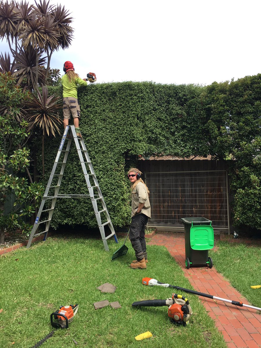 Little pittosporum hedge cut to finish the day off ...well done fellas 🌴👍🏼🌴#arborist #trees #hedges #gardens #landscape #trimming #pruning #summer #melbourne #australia #tradies #arblife #treestuff