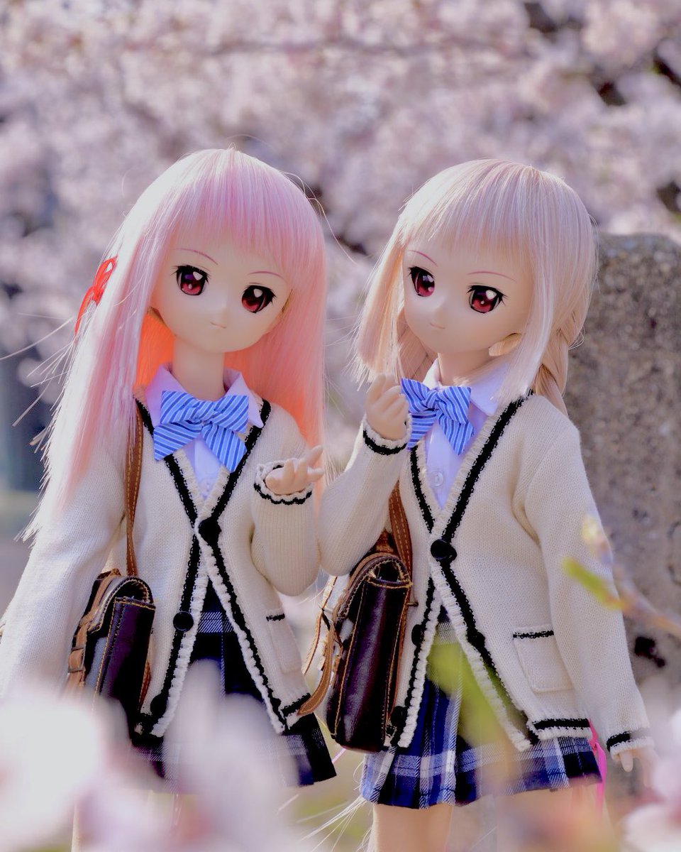 はちみつや鶏飯 粉砕玉砕大喝采 Hachimituya توییتر