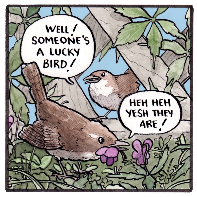 False Knees tweet media