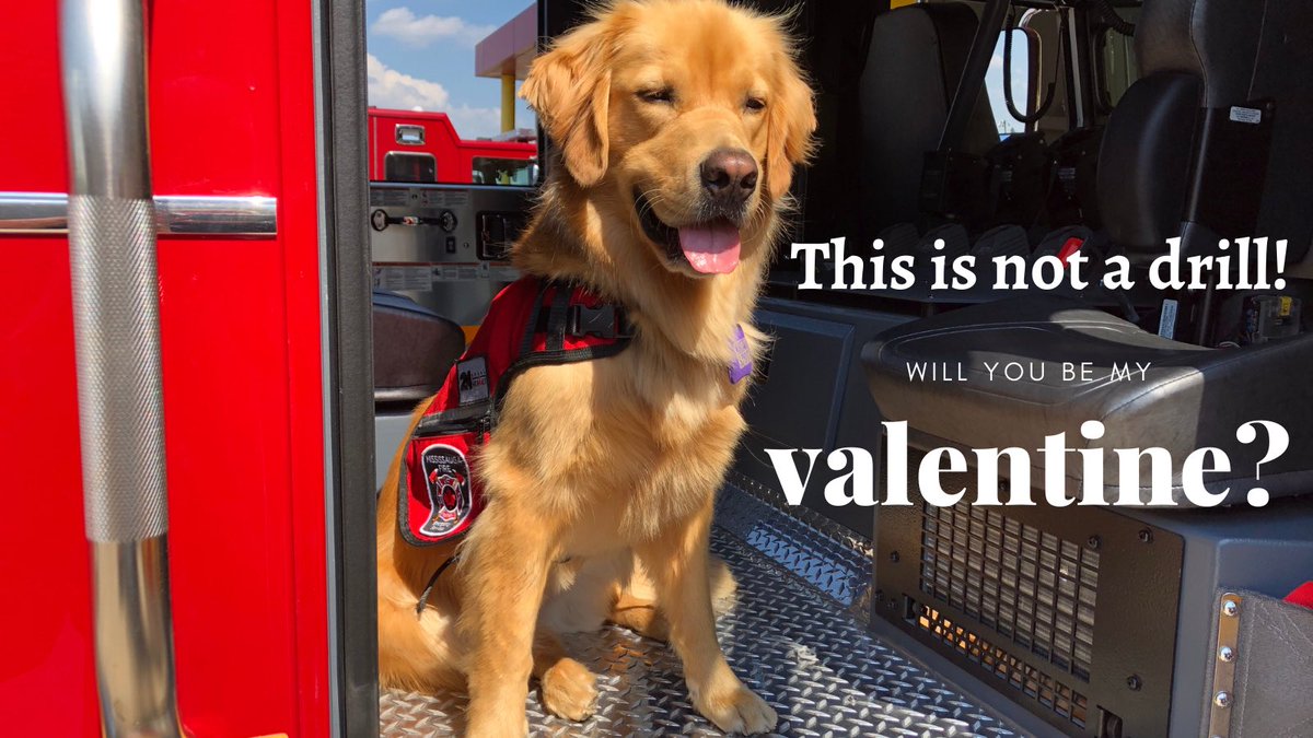 .#HappyValentinesDay2021 Will you be mine? 🐾❤️ #StaySafe