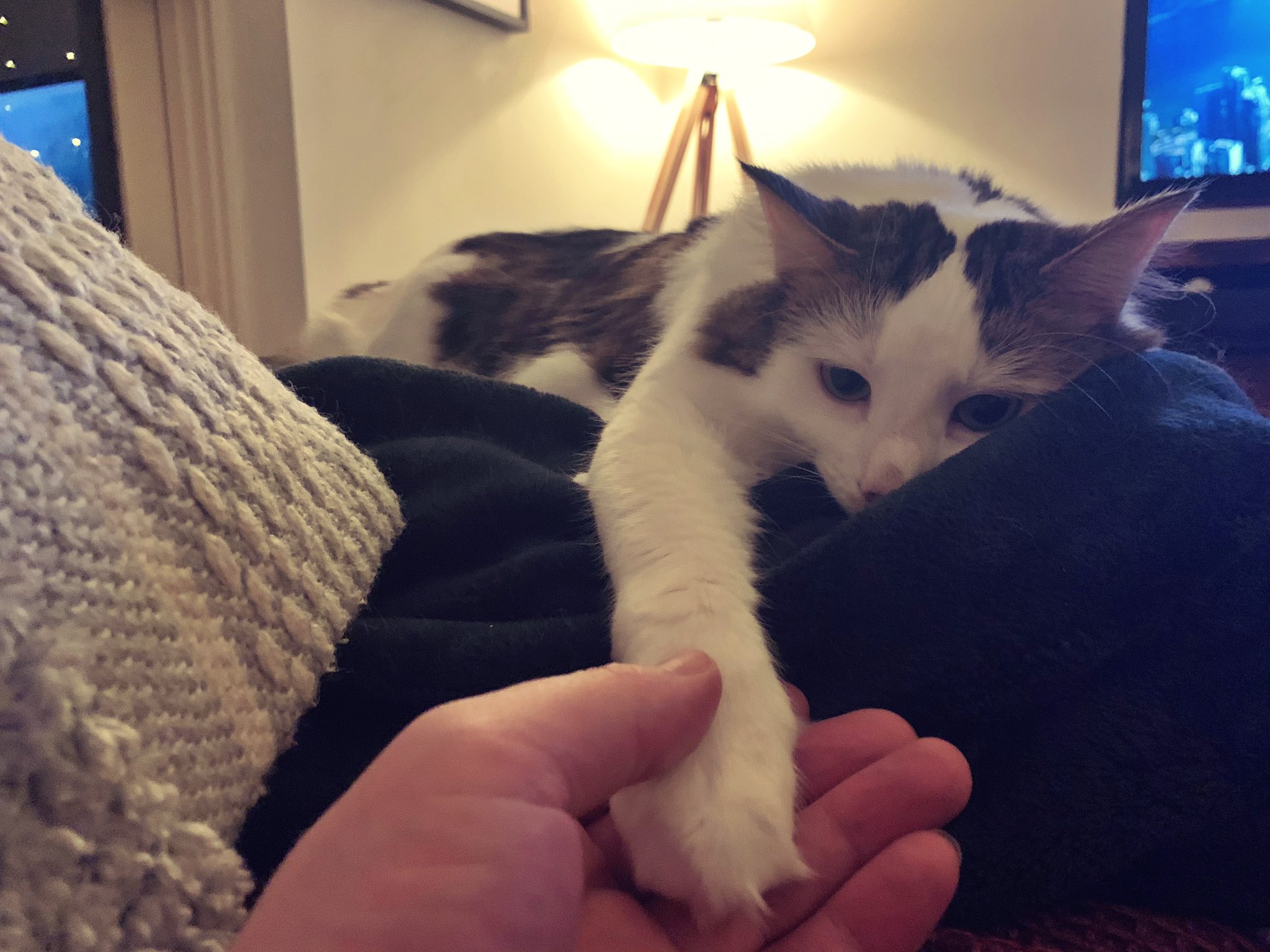How’re you feeling this Valentine’s Day? I’m grateful to have this little hand to hold, at least. https://t.co/DdBRwrDQN9