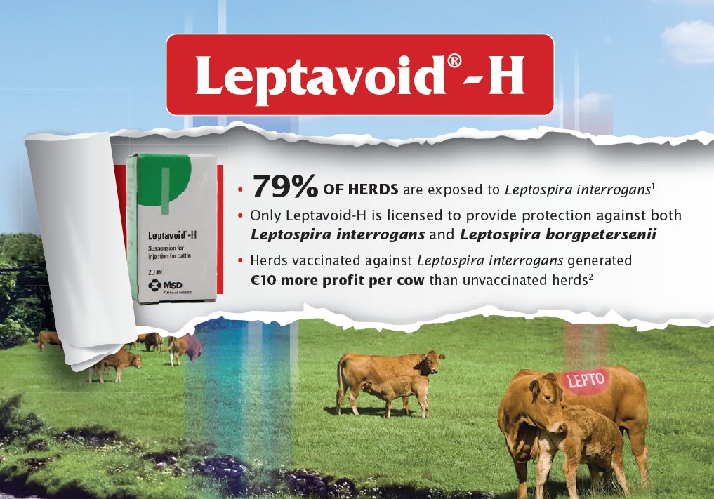 MSD Animal Health - Livestock tweet media