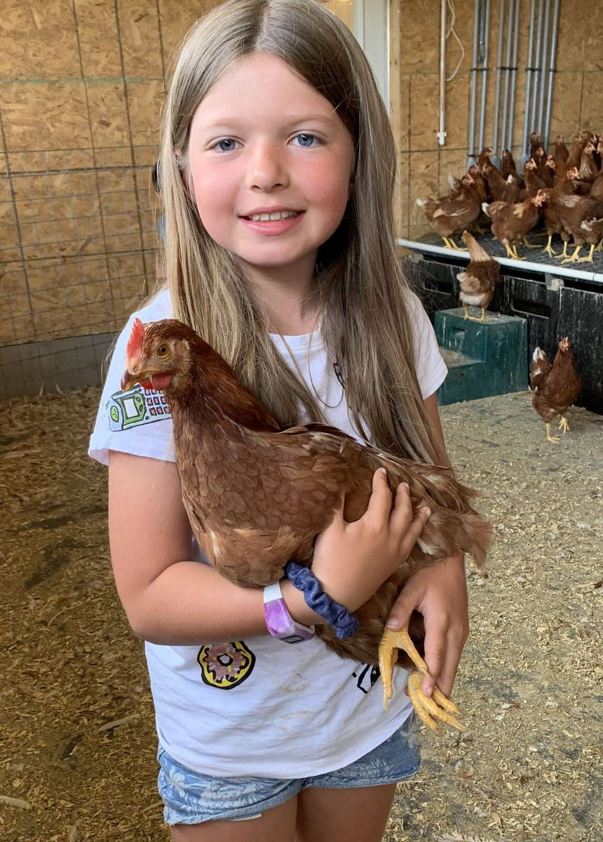 PottersUsa's tweet photo. #happyvalentinesday to all our amazing family, friends, farmers and customers. 

Here’s a few of our favorite pics showing our love for #allcreaturesgreatandsmall 

#loveanimals #valentines2021 #potterspoultryusa #thankyoufarmers https://t.co/t0tS8s9Hrg