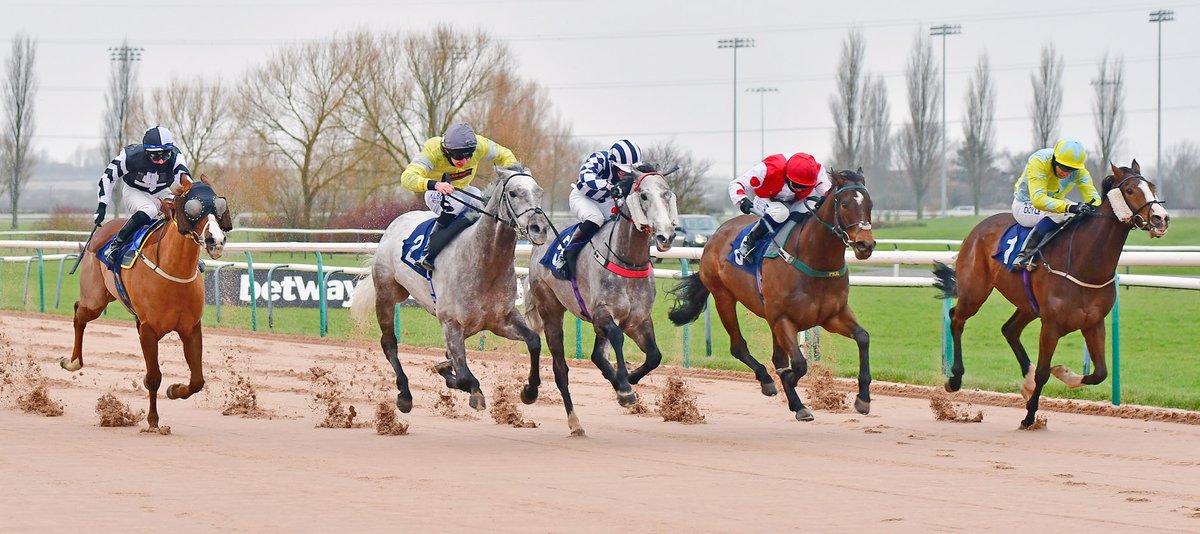 RACE 1 RESULT – @Bombardier_beer Handicap 🥇Straitouttacompton 🥈Glory Of Paris 🥉Native Silver Jockey: @leveysean Trainer: Ivan Furtado Owners: Golden Equinox Racing