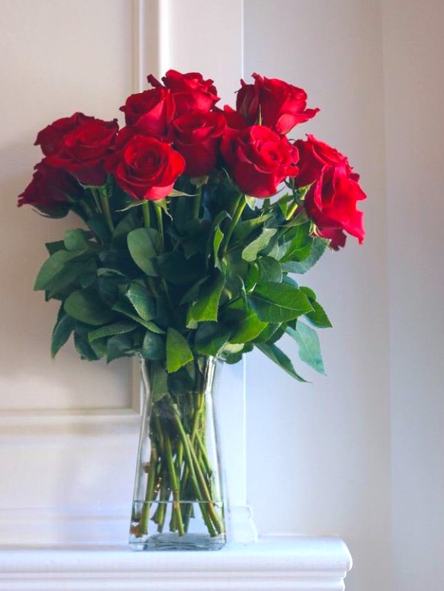KeeneHouse's tweet photo. You
      Deserve 
The most 

     R
      O
       M
        A
         N
          T
            I
             C

               S
                 H
                   I
                    T https://t.co/wDKS3i8RZQ