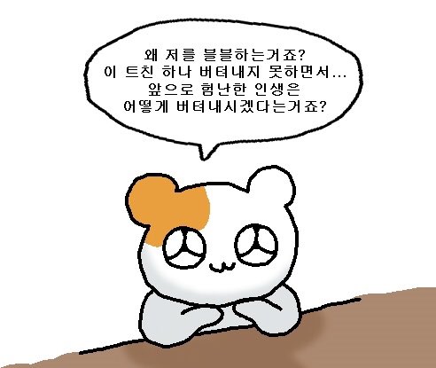 노란메론 tweet media