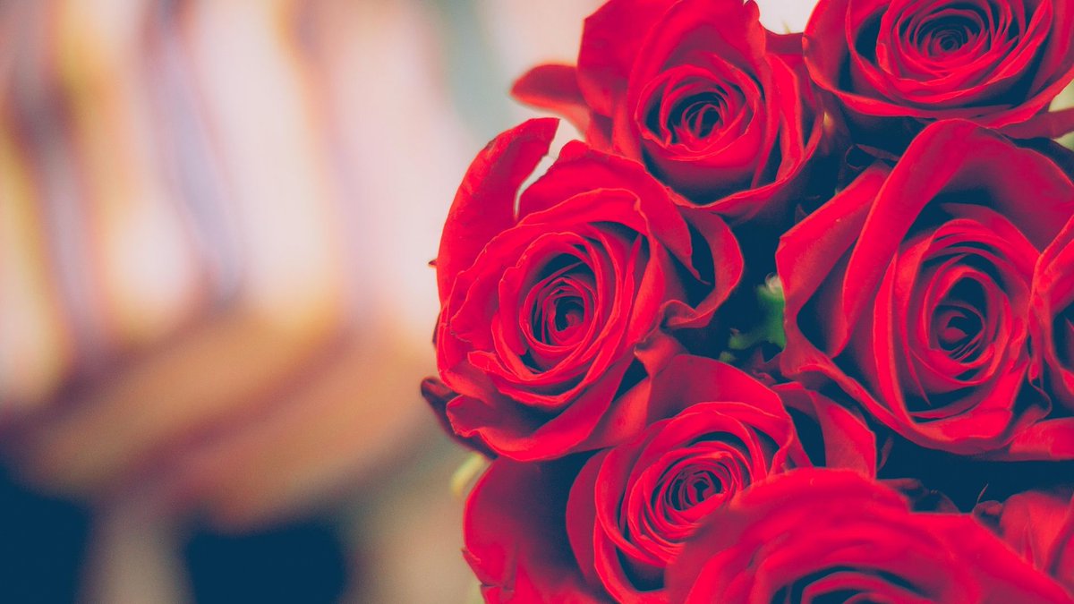 VCApartment's tweet photo. Happy Valentine day for everyone! 
Love yourself , love each other❤
If you can't love yourself, how in the hell you gonna love somebody else? 
➖➖➖➖➖➖➖➖➖➖➖➖➖https://t.co/jlSHFlynub®️
☝FB: @viennacityapartments
☝IG: @viennacityapartment.info 
☝TW: @VCApartment https://t.co/lrkfQsSXdk