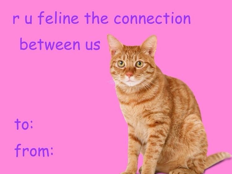 we know what day it is