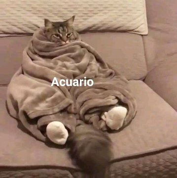 intossuke's tweet photo. Saquenme de esto llamado vivir. https://t.co/W6W0XmrT2n
