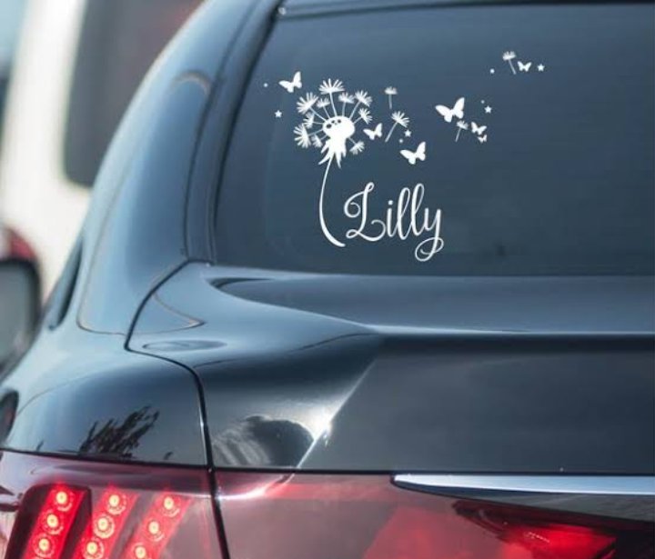 2. STICKER WITH HER CAR NAMEIf you've noticed, all ladies name their cars. A nice clean Motif/calligraphy of it's name is a gift that will always keep giving...