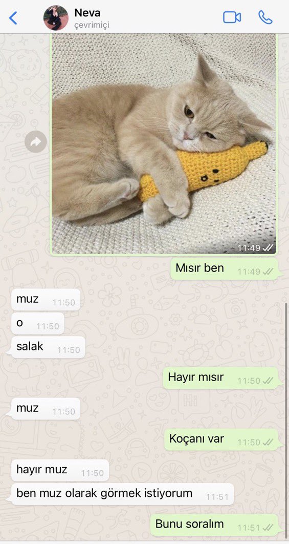 Evet atkadaslar görseldeki şey mısır mı muz mu hadi mısır deyin