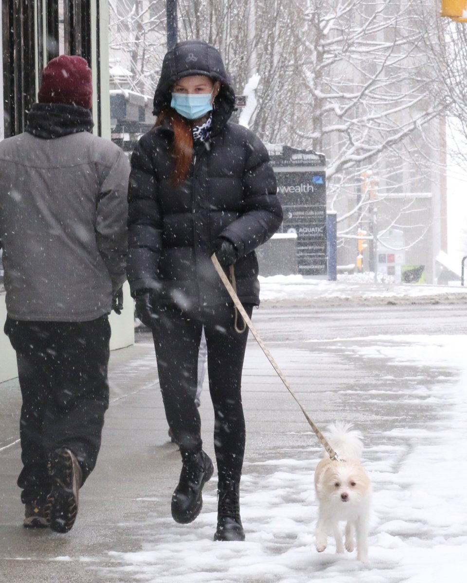 midiasmpbr's tweet photo. 📸 Adicionamos em nossa galeria fotos da Madelaine Petsch com Camila Mendes ontem (13) passeando com suas cachorras pelas ruas de Vancouver. Confira mais em: https://t.co/PlwNdBxhff https://t.co/5uUBtOYoUC