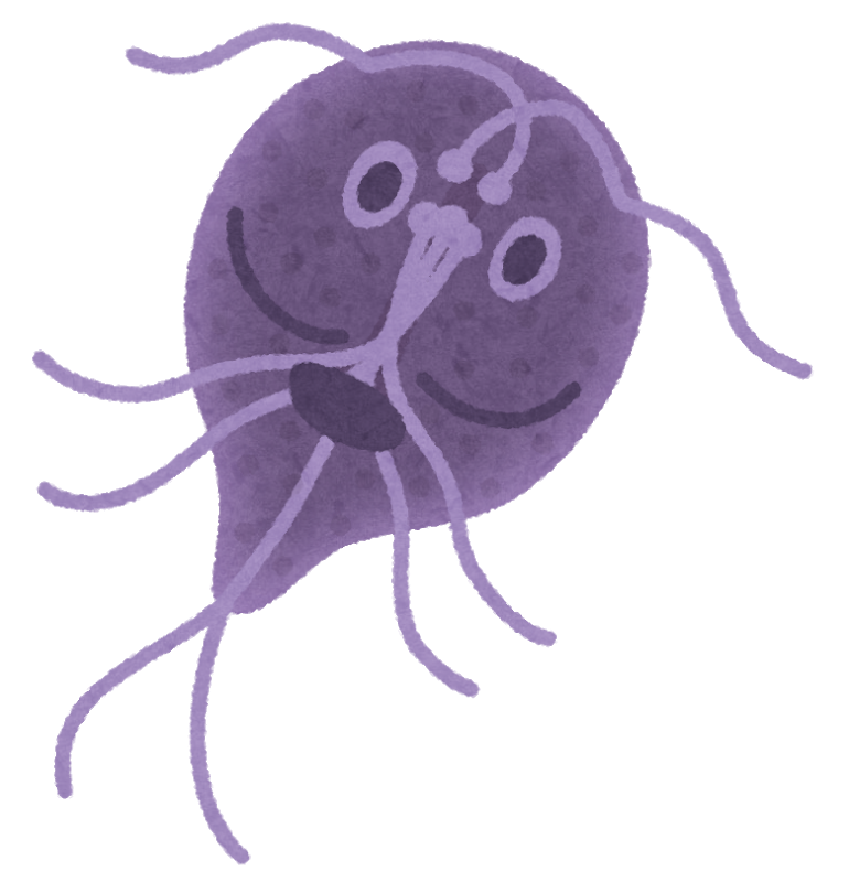 胡麻 これはランブル鞭毛虫というエクスカヴァータ 真核生物の一種 です 私も今日知りました 笑 あまりに可愛いのでいらすとや さんもイラスト化しています T Co 6yqadvvzno Twitter