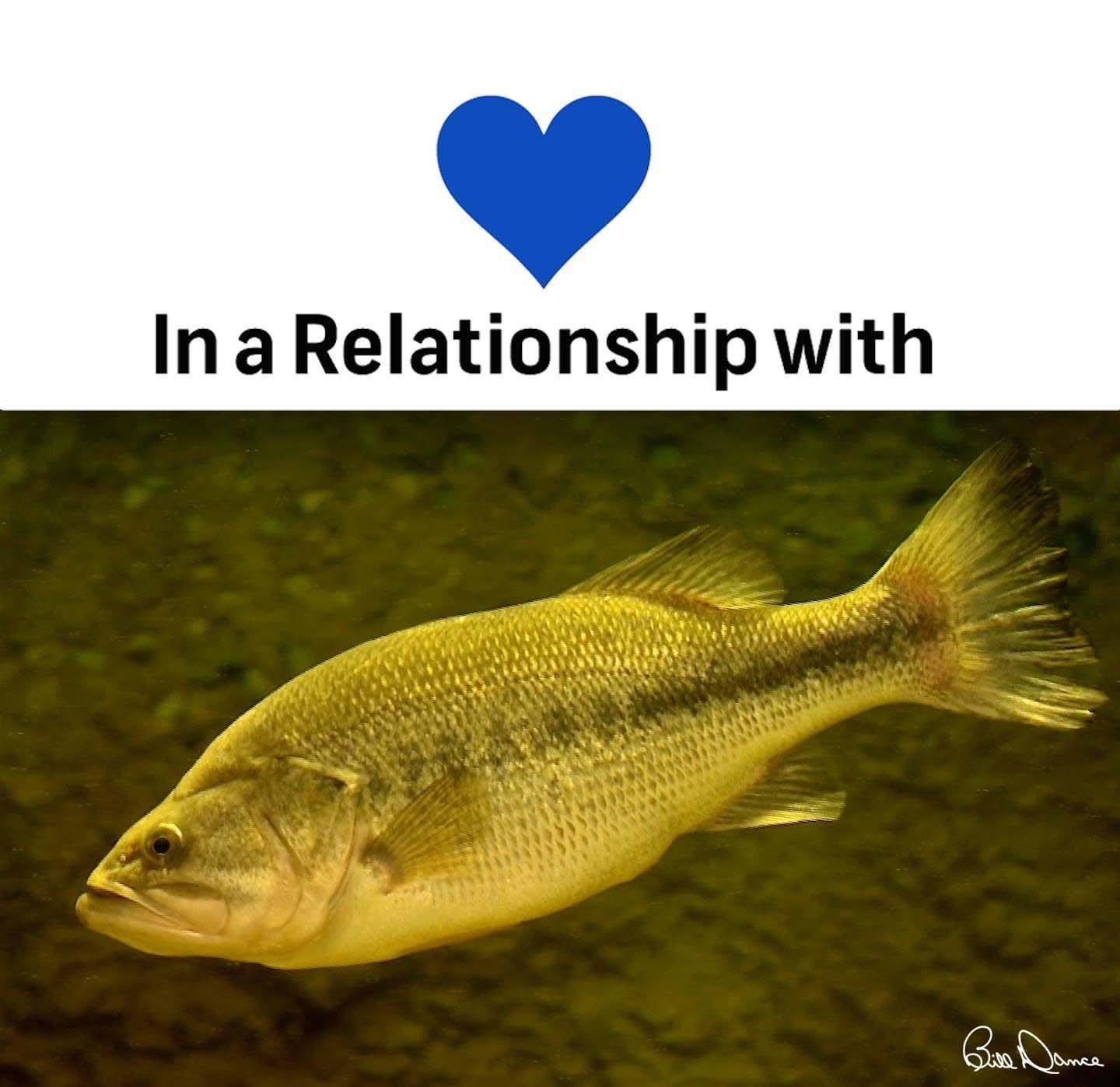 Bill Dance on X: Happy Valentines Day! #itscomplicated #HappyValentineDay # fishing  / X
