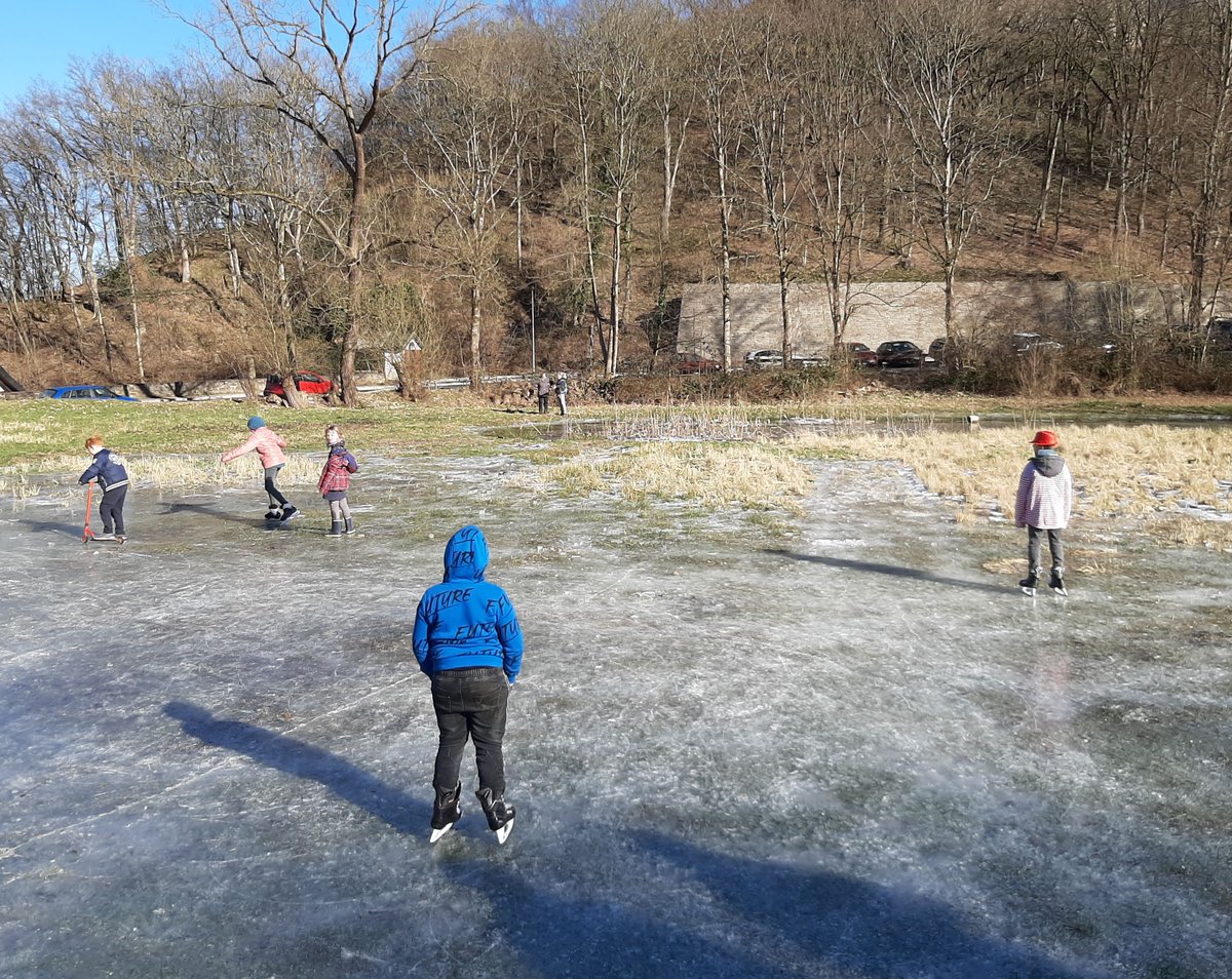 BiostationRSK's tweet photo. Sicheres Schlittschuhfahren unter Elternaufsicht auf einer unserer #Nasswiese n. Günstiges Zusammentreffen von Hochwasser und starkem Frost, gab es hier seit Jahren nicht mehr. #BioStatRSK https://t.co/Oo05CuhVIG DS https://t.co/HiZhNV7k7L