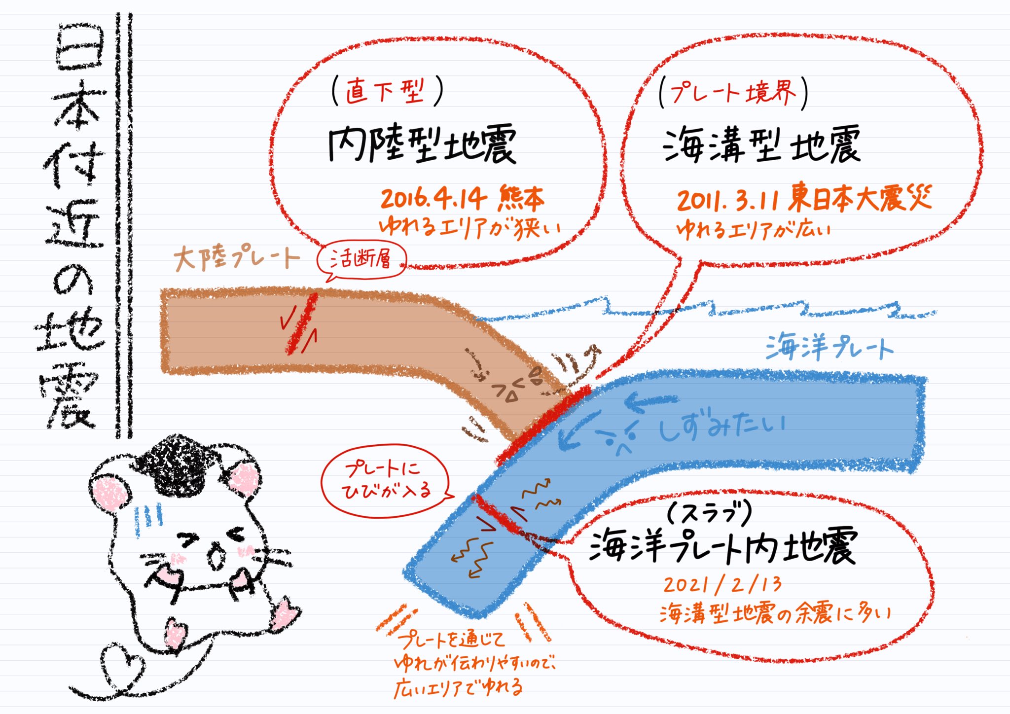 理科と数学のおとも ゆるイラスト 昨日の地震は大きい横ゆれが長く続いてびっくりしたね 停電や断水に備えて準備しておこうね この地震は 海洋プレートの中にひびが入って起こる 海洋プレート内地震 と言われているよ プレートを通じてゆれが伝わり