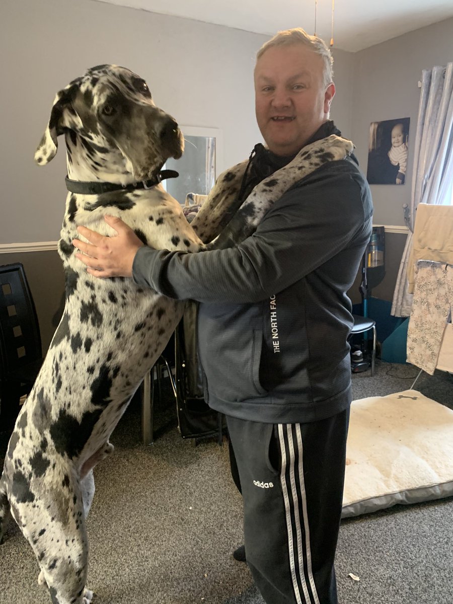 Stdcjjcook's tweet photo. 8 months old today still a puppy 😧😧 https://t.co/WhbMmULedB
