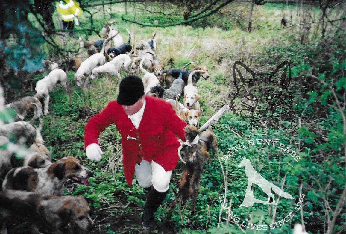 Bath Hunt Sabs tweet media