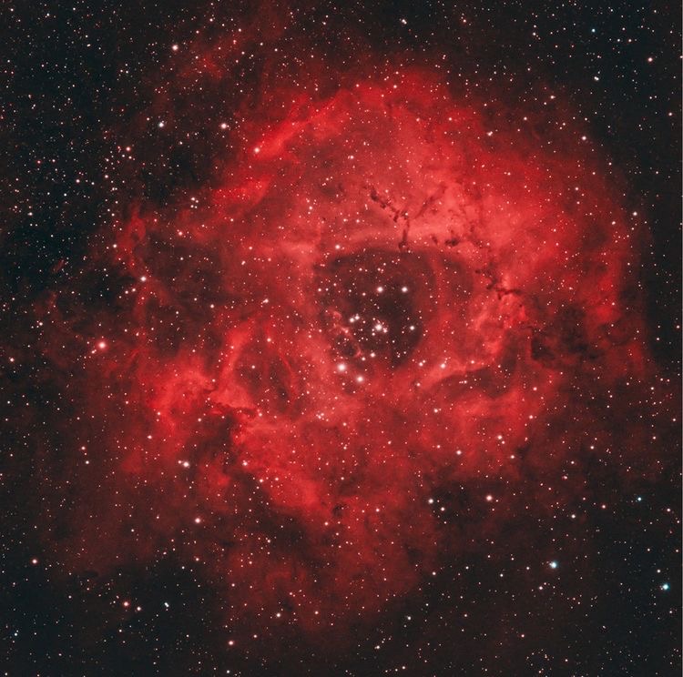 Will you be our Valentine? What if we brought you a rose that is 130 light-years in diameter? 🌹

Pictured is the Rosette Nebula captured by Marc Mantha from Ottawa, Ontario. #DiscoverTheSky

Photo: Marc Mantha