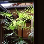 ツイートに含まれる画像