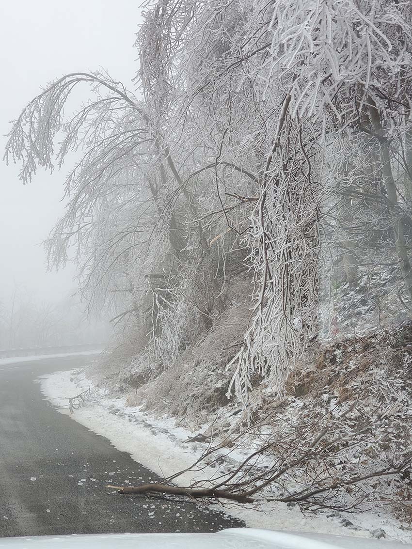 VaDOTSalem's tweet photo. With all the ice out there, downed trees continue to be a major factor in the district, especially in Floyd, Franklin &amp; Bedford Counties. We've responded to over 500 calls since yesterday! Please continue to call us if you see downed trees/debris on our roadways. 1-800-FOR-ROAD https://t.co/e1MZqf8GYy
