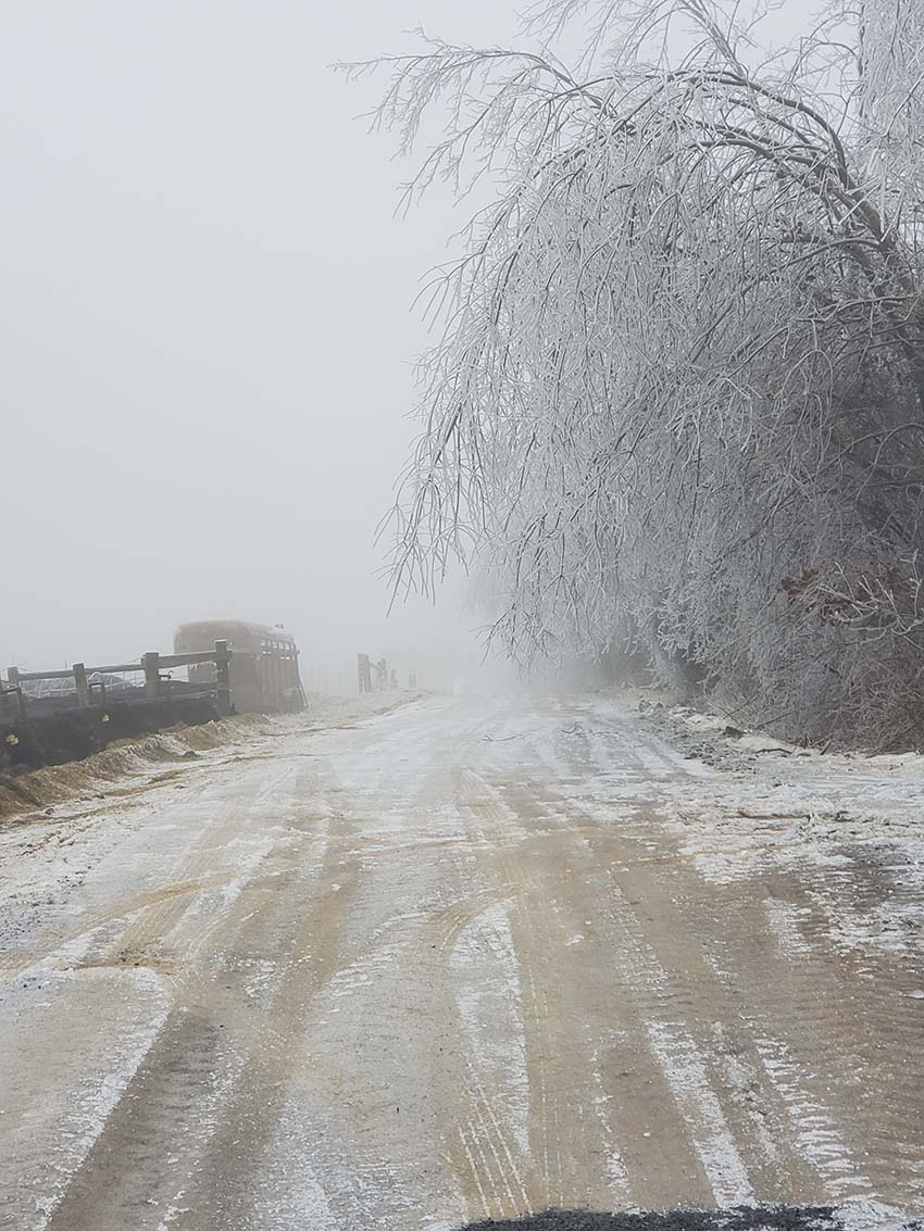 VaDOTSalem's tweet photo. With all the ice out there, downed trees continue to be a major factor in the district, especially in Floyd, Franklin &amp; Bedford Counties. We've responded to over 500 calls since yesterday! Please continue to call us if you see downed trees/debris on our roadways. 1-800-FOR-ROAD https://t.co/e1MZqf8GYy