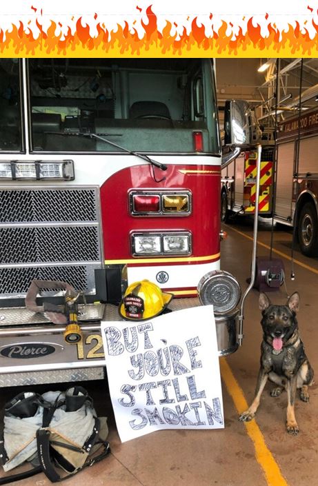 KalPublicSafety's tweet image. The fire may be out, but you're still smokin'! 

Our K9s "Paws-itively" love Valentine's Day! 😍 

#kdpsk9 #wearekdps #goodboyclub