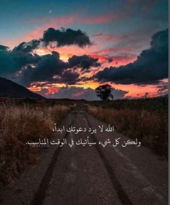 ZYOP_911's tweet photo. ابتهلوا لخالقكم ب الدعاء موقنين ب الإجابة 
ادعوا لموتاكم واطلبوا مبتغاكم ف ربنا كريم
ولا تعجزه كل امانينا 🍂 https://t.co/4gLR9hhpJu