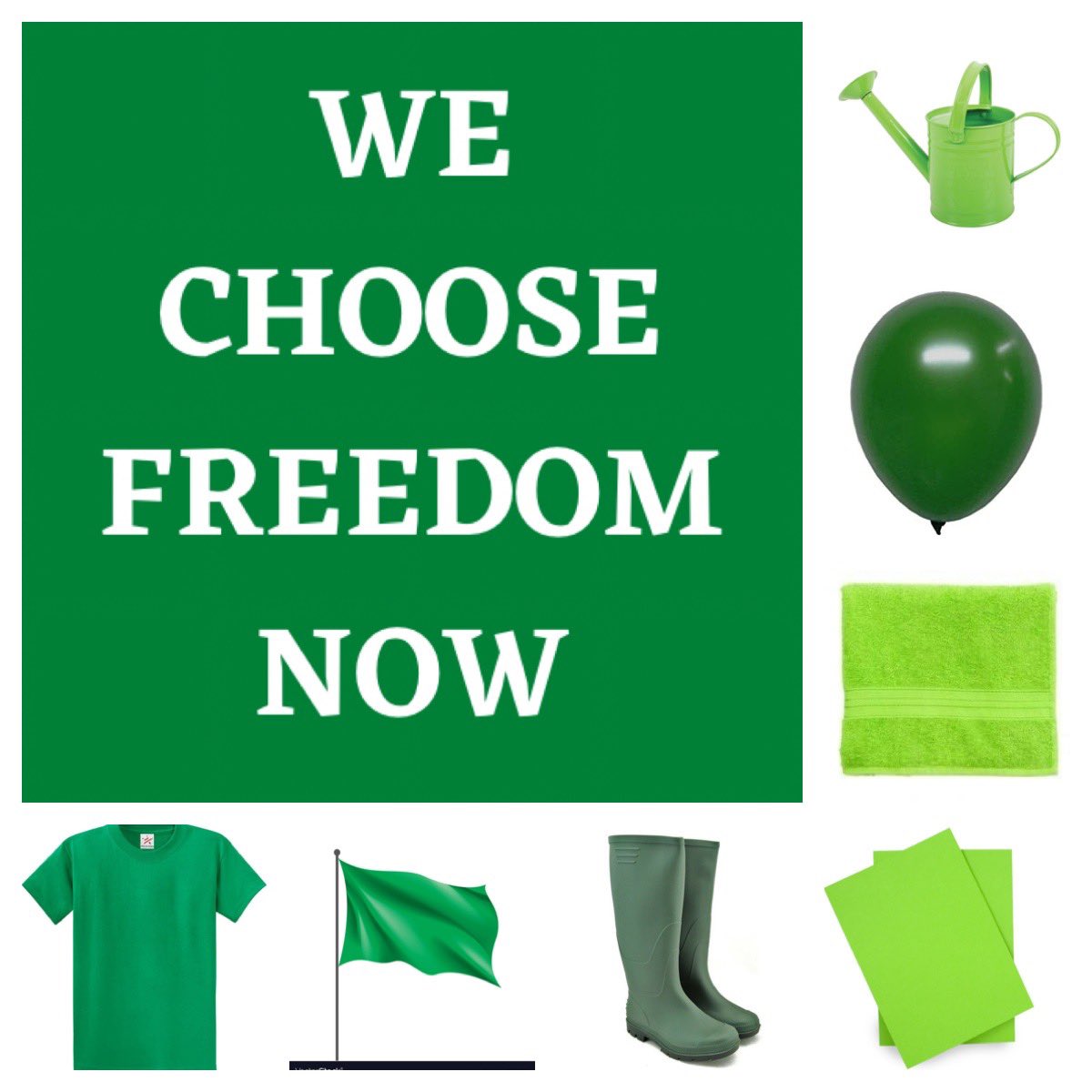 WCFNOW's tweet photo. Showing your support is simple and doesn’t have to cost a thing. As long as it’s green get it in the window #wechoosefreedomnow https://t.co/rw4mtcWK1S
