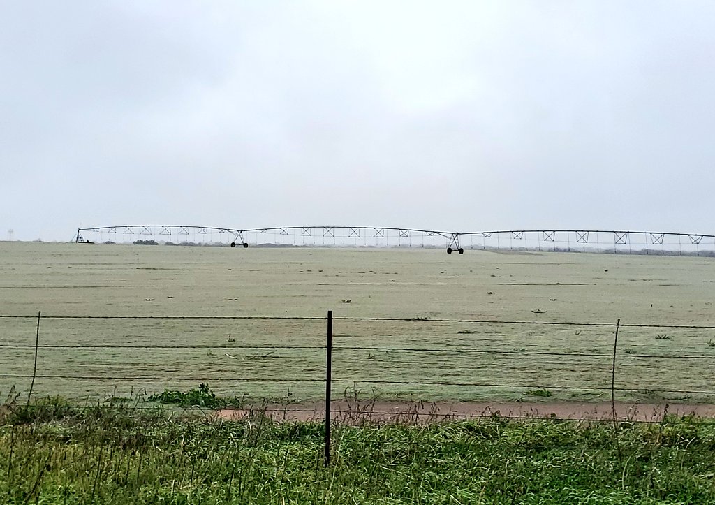 SouthTejas1984's tweet photo. An ICED Over Grass Farm-
#CountryLivin
#LytleTejas https://t.co/sTSltBcOYx